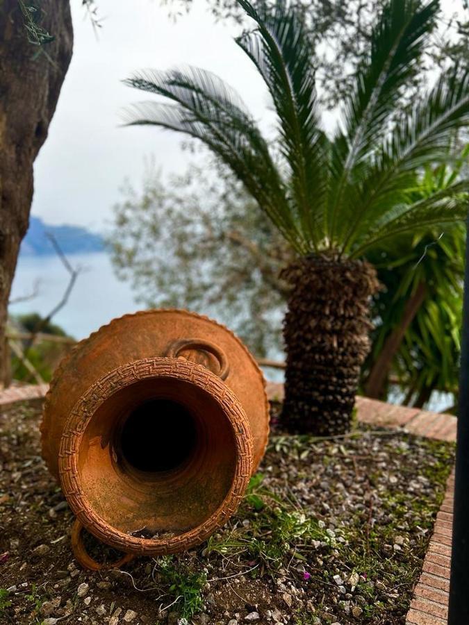 Villa Hermosa Costiera Amalfitana Eksteriør billede